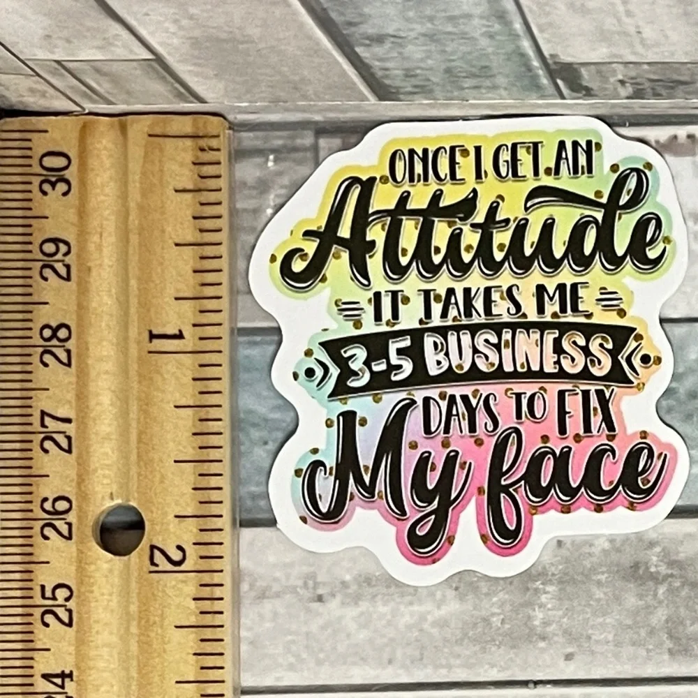 ๐10/$10๐ Sarcasm Sarcastic Quote Reusable Waterproof Vinyl Sticker Decal - Picture 1 of 1